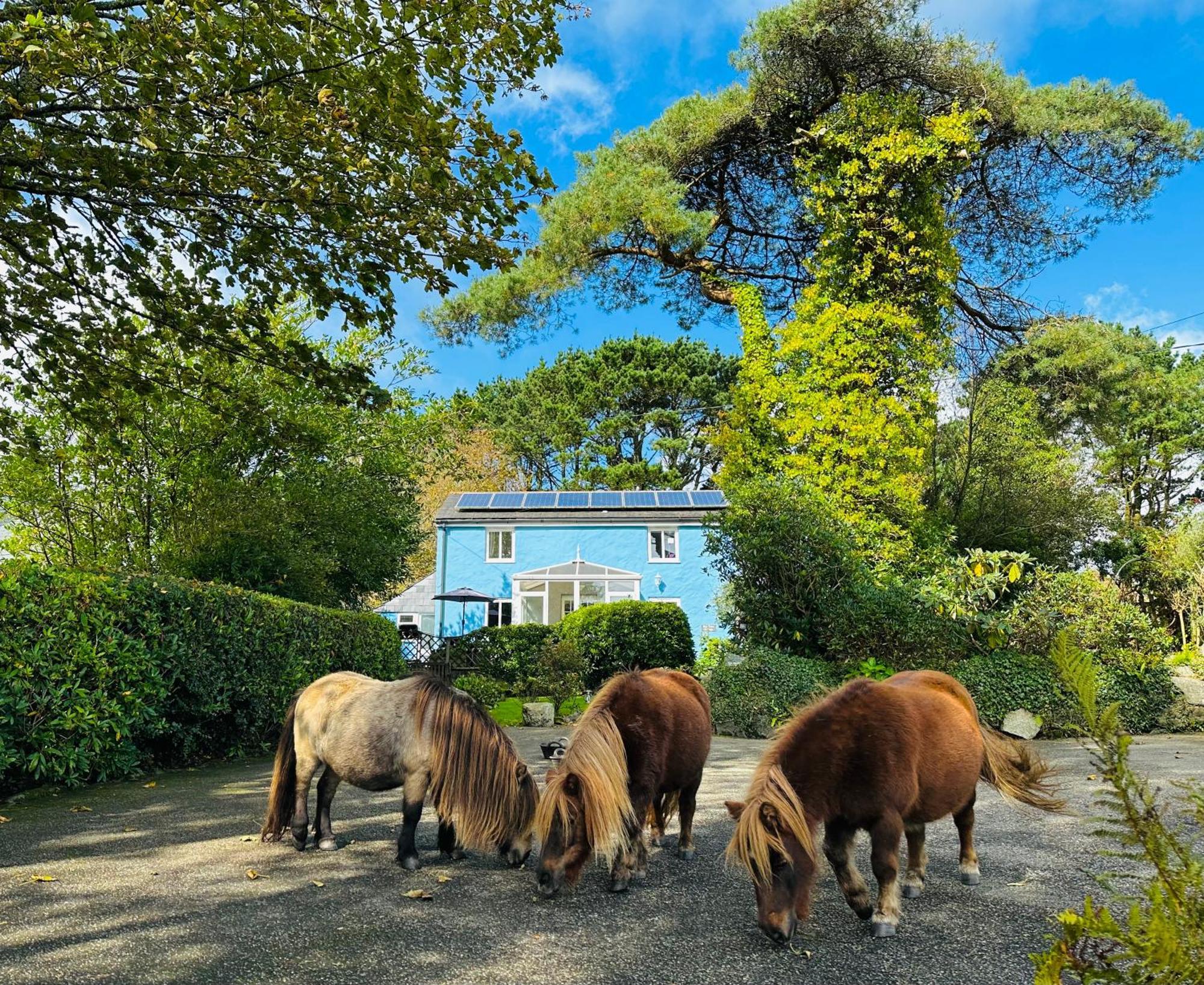 Bay View Cottage سانت أوستيل المظهر الخارجي الصورة